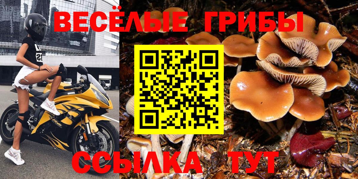 Галлюциногенные грибы GOLDEN TEACHER  Вход с VPN  Зеленодольск  Псилоцибиновые грибы мицелий 